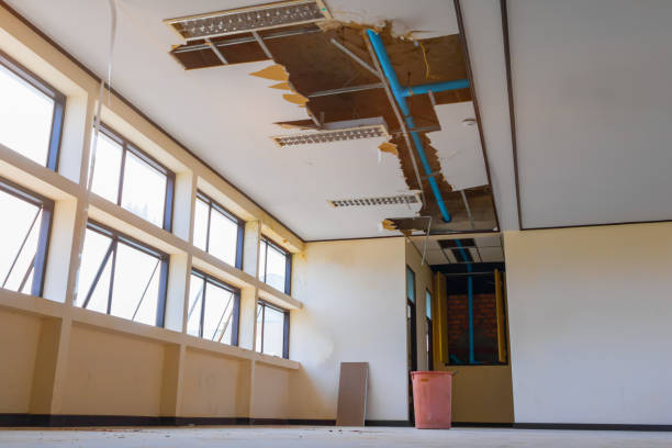 Best Water damage restoration near me  in Chadds Ford, PA