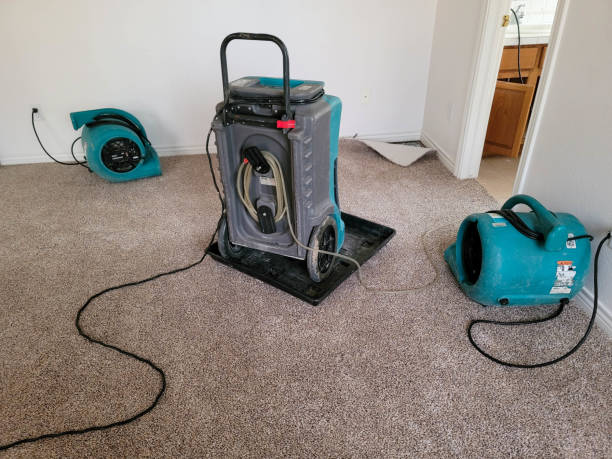 Best Water damage cleanup near me  in Chadds Ford, PA