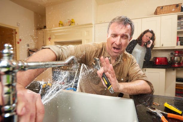 Best Water damage cleanup near me  in Chadds Ford, PA